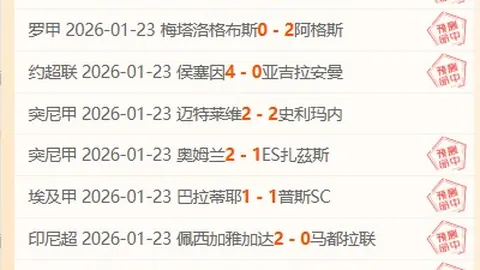 2025年1月11日法乙巴斯蒂亚对阵阿雅克肖：战史回顾、交锋记录及比分展望